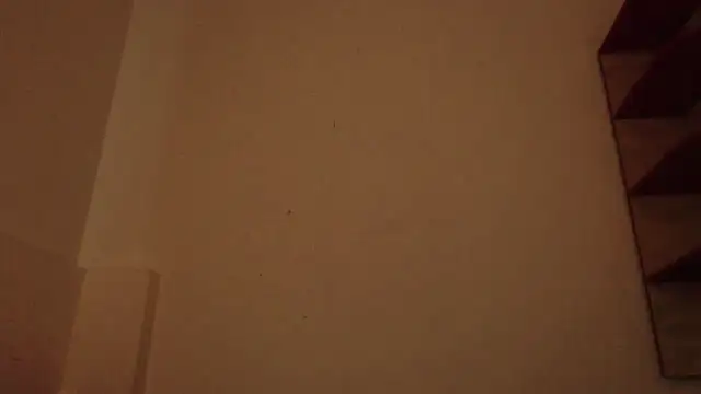 Fudzik0 webcam