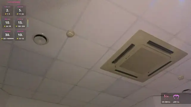 Vlada_vv webcam