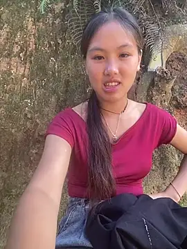 hoa_mai
