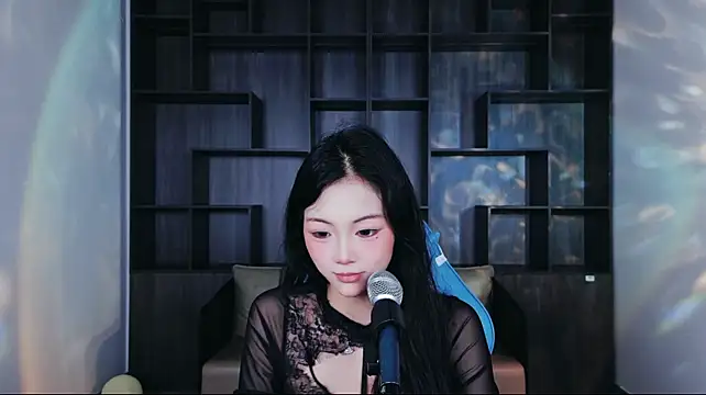 Lanmei01 webcam