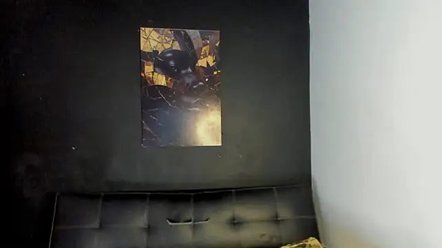 AliceFit_212 webcam