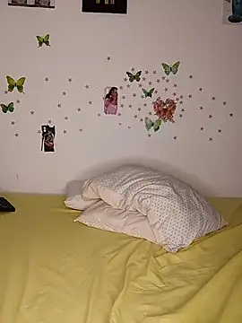 masindit webcam