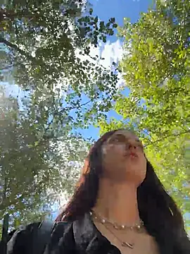 DollyTall webcam