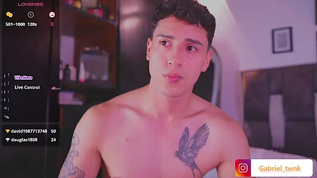 I_Gabriel webcam