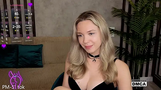 Holl1Would webcam
