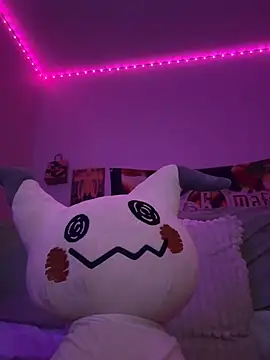 nintendhoe webcam