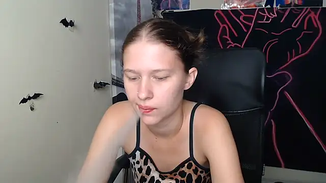 StellaCRL webcam