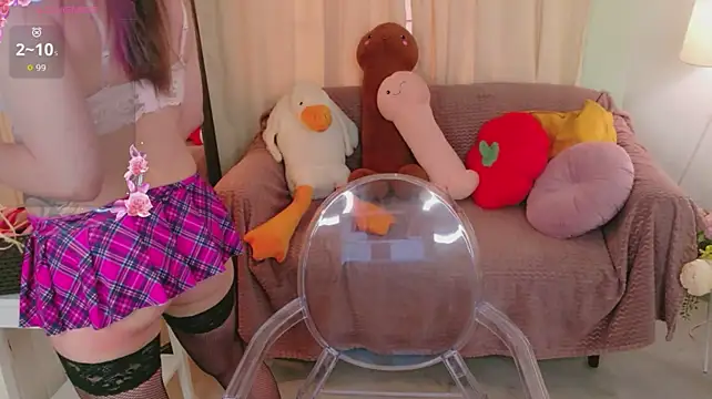 Mira_Falls webcam