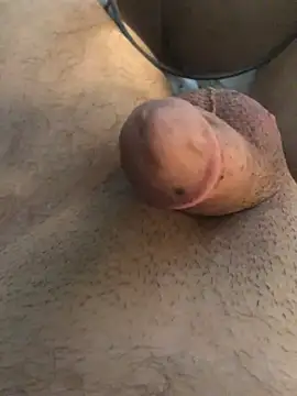 katilikat webcam