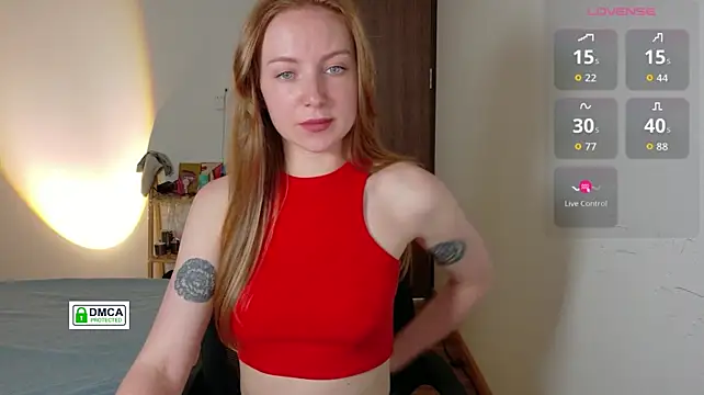 RedFires webcam