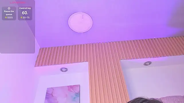 1Sloppy_Fox4 webcam
