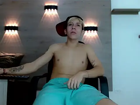 Gaeliitto webcam