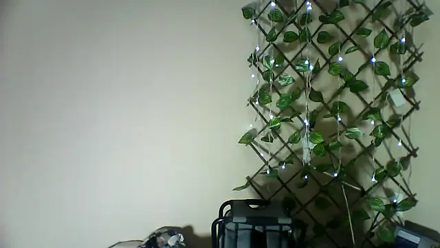Mich76 webcam