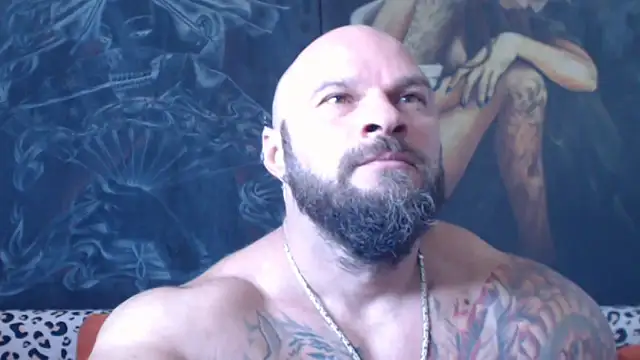 viking_30 webcam