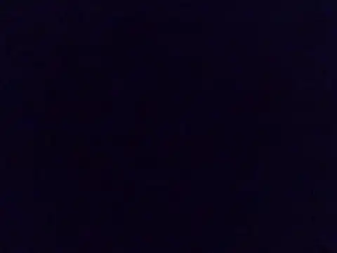 babyzillan webcam