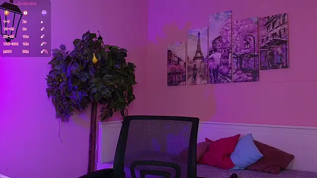 Inari_Okami_ webcam