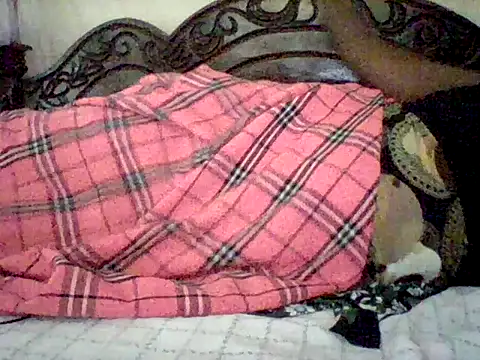 missarpie webcam