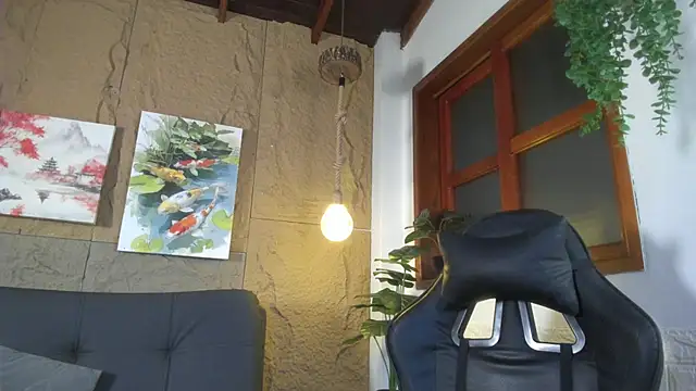 kenshop webcam