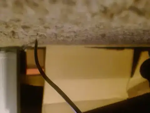 MrDontRush webcam