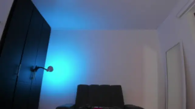 xreeeeviz webcam