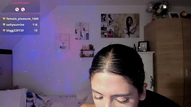 Veronikolsen- webcam