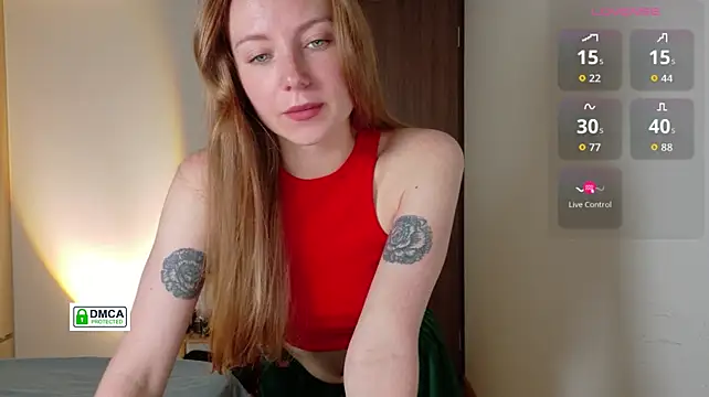 RedFires webcam