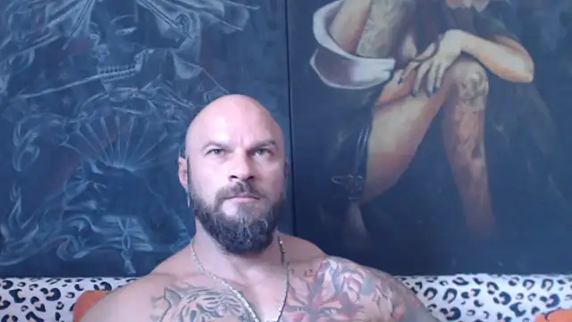 viking_30 webcam