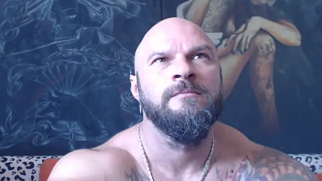 viking_30 webcam
