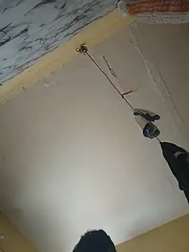 DESHICPL69 webcam