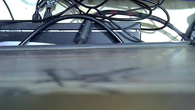 cutiebie webcam