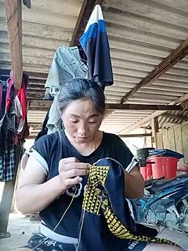 seacyre webcam