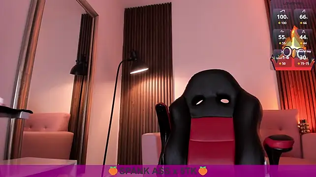 MAGIC_VERA webcam