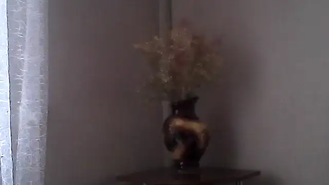 Littlecatme webcam