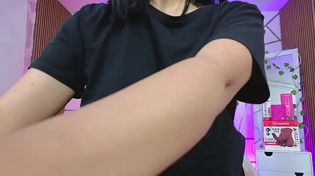casse_tay webcam