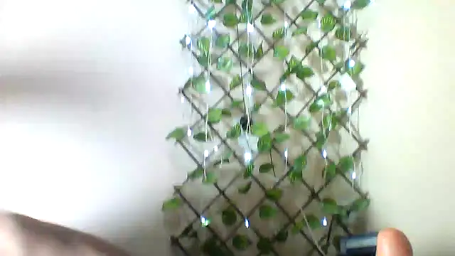 Mich76 webcam