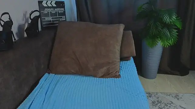 calithra webcam