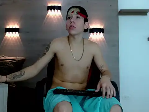 Gaeliitto webcam