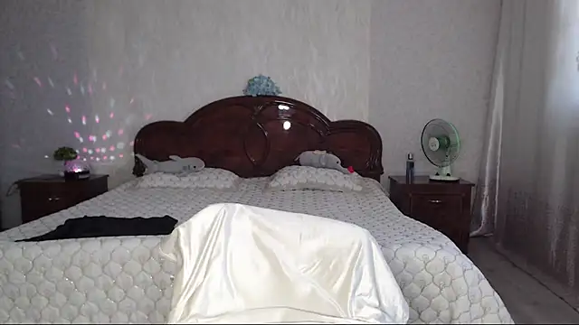 Batari webcam