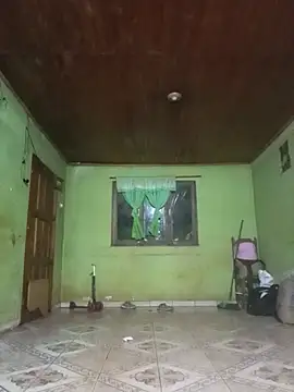 mizae webcam