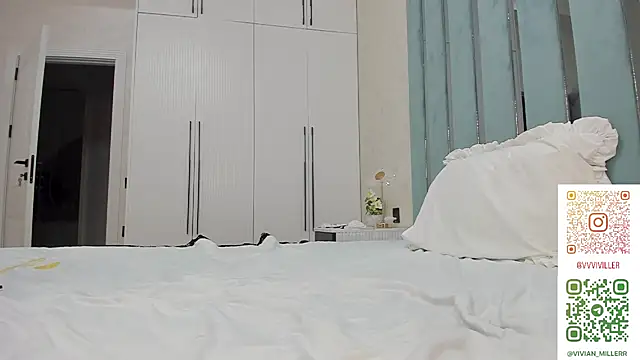 VivianMiller_ webcam