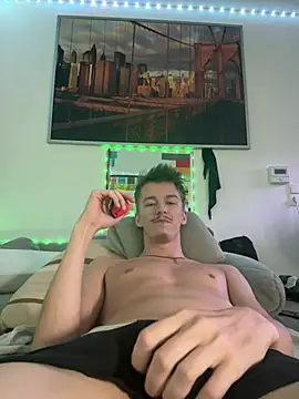 Vorschau des Streams von Toyjungee