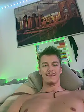 Toyjungee webcam