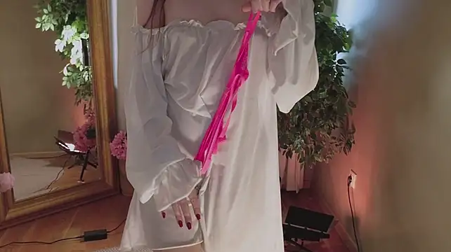 Alice-Lidel webcam