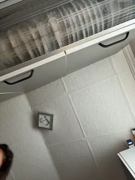 SelineVelvet webcam