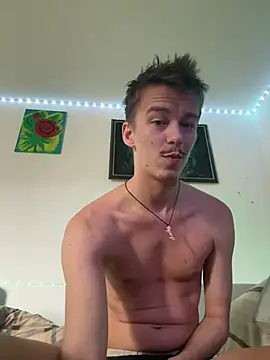 Toyjungee webcam