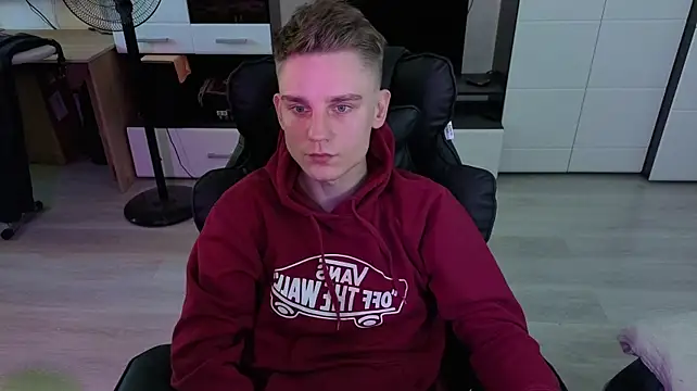 pvlpstvy webcam