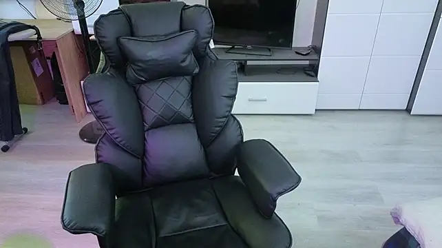 pvlpstvy webcam