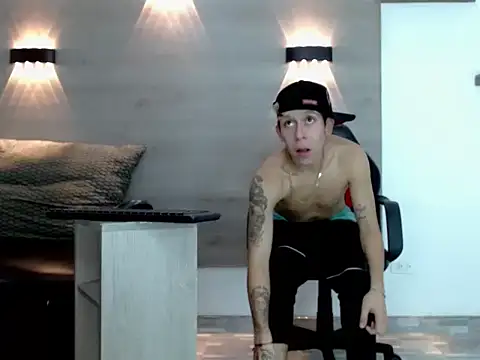 Gaeliitto webcam