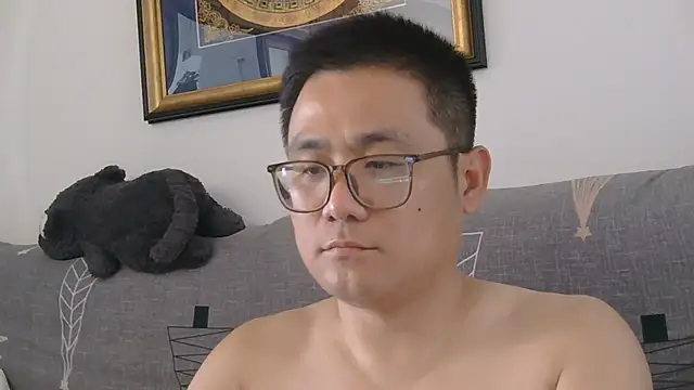 866532 webcam