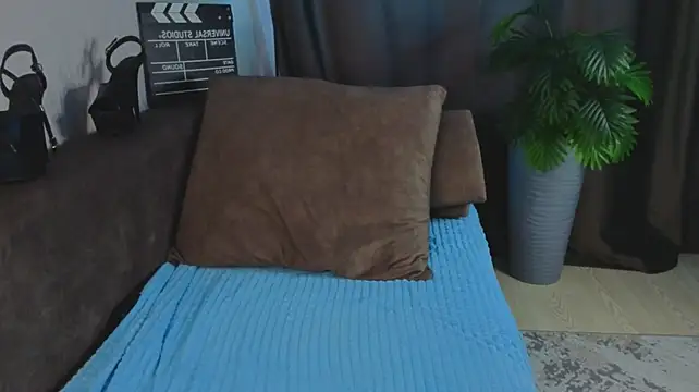 calithra webcam